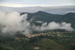 dans la brume - vagabondphotos.ch