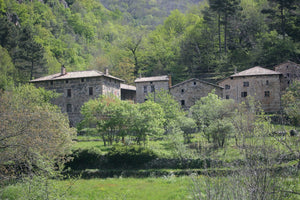 dans la nature. Chevalline - vagabondphotos.ch