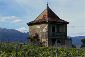 DANS LE CANTON DE GENEVE - vagabondphotos.ch