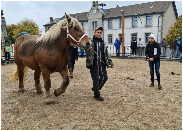 Fay-sur-Lignon, Foire de chevaux - vagabondphotos.ch