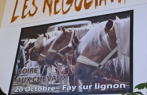 Fay-sur-Lignon, Foire de chevaux - vagabondphotos.ch