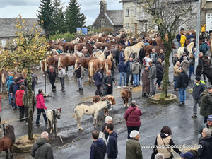 Fay-sur-Lignon, Foire de chevaux - vagabondphotos.ch