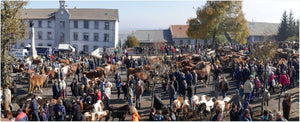 Fay-sur-Lignon, Foire de chevaux. - vagabondphotos.ch