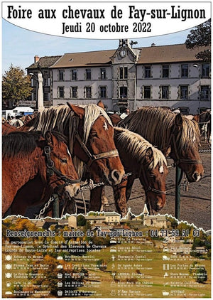 Fay-sur-Lignon, Foire de chevaux - vagabondphotos.ch