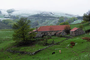 Ferme - vagabondphotos.ch