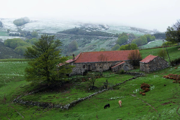 ferme - vagabondphotos.ch