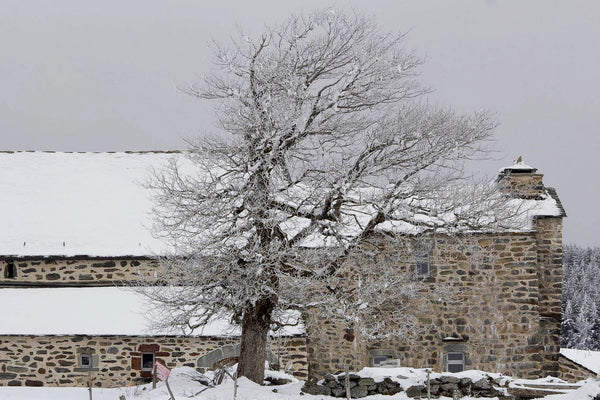 Ferme sous la neige - vagabondphotos.ch