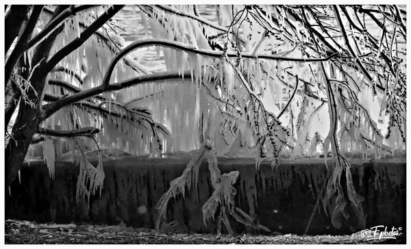 Genève froid - vagabondphotos.ch