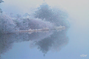 givre - vagabondphotos.ch