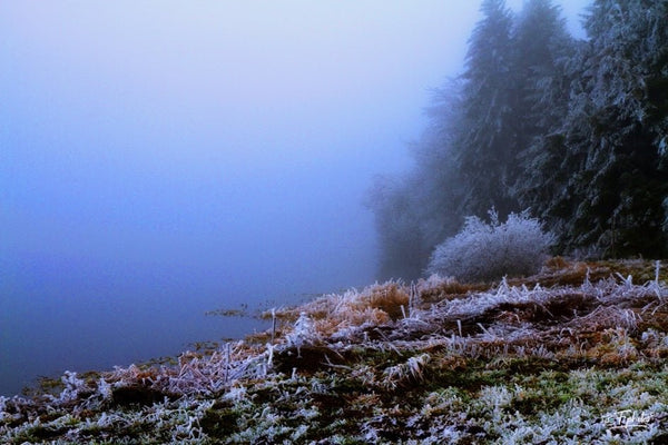 givre - vagabondphotos.ch