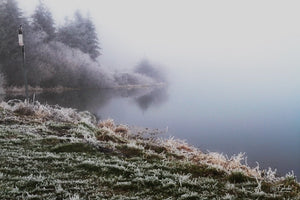 givre - vagabondphotos.ch