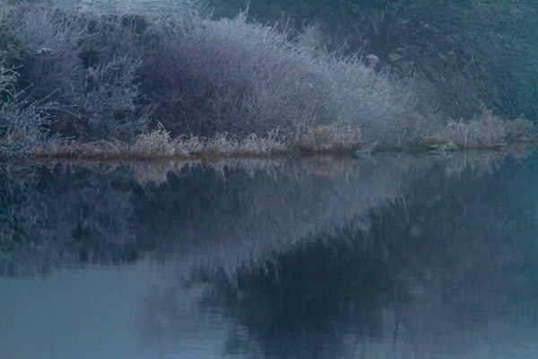 GIVRE - vagabondphotos.ch