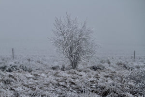 Givres France - vagabondphotos.ch