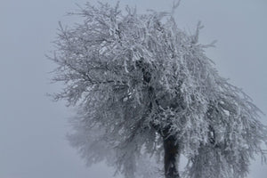 Givres France - vagabondphotos.ch