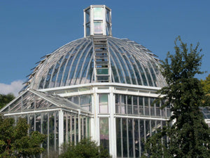 jardin botanique - vagabondphotos.ch