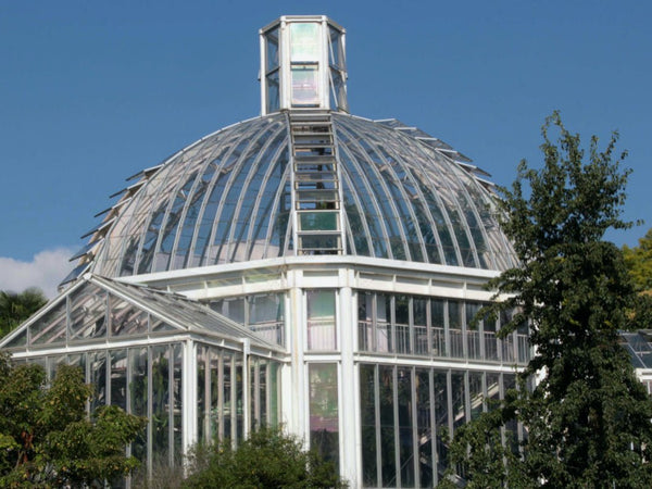 jardin botanique - vagabondphotos.ch