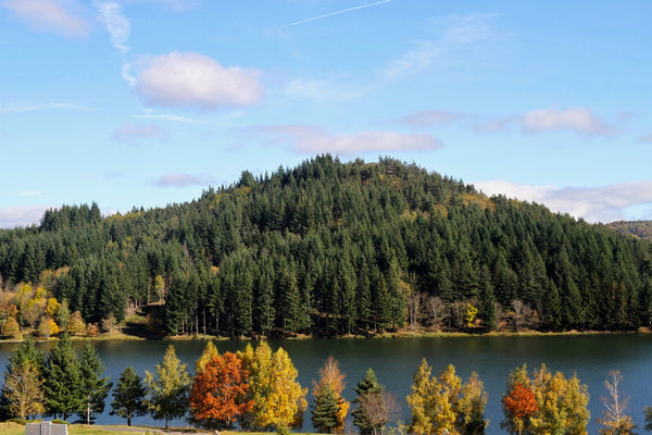 lac - vagabondphotos.ch