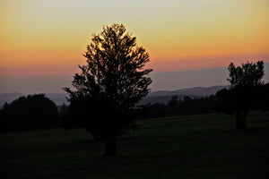 levé de soleil nature Ardéchoise - vagabondphotos.ch