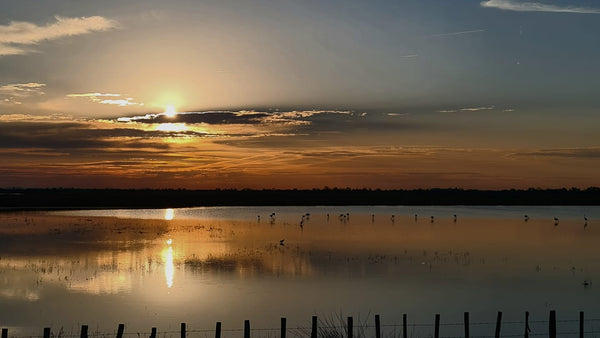 Levé de solel Camargue FranceH - vagabondphotos.ch