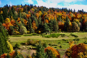 Nature - vagabondphotos.ch