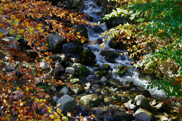 nature - vagabondphotos.ch