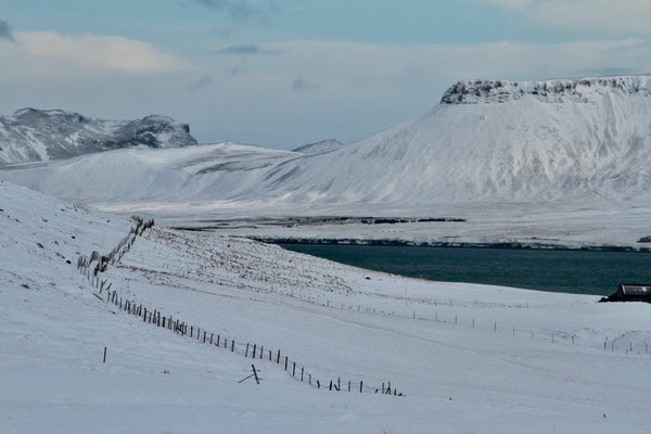 neige - vagabondphotos.ch