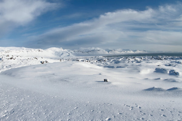 neige - vagabondphotos.ch