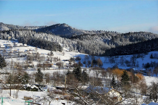 Neige, lac, froid - vagabondphotos.ch