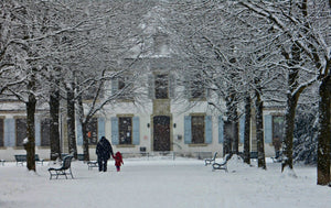 parc - vagabondphotos.ch