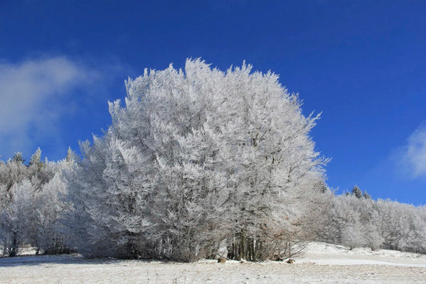 pays3 - vagabondphotos.ch