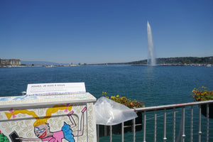 piano avec le jet d eau - vagabondphotos.ch