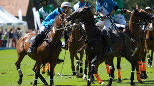 Polo Gstaad - vagabondphotos.ch