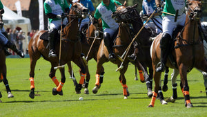 Polo Gstaad - vagabondphotos.ch