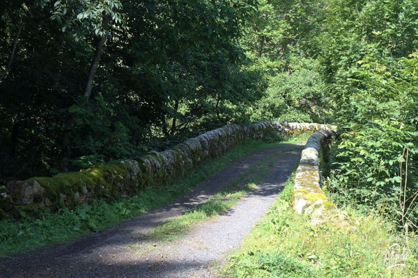 Pont - vagabondphotos.ch