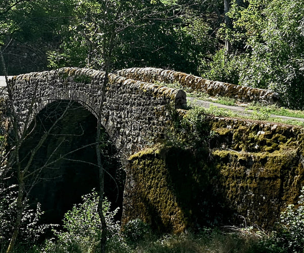 pont - vagabondphotos.ch