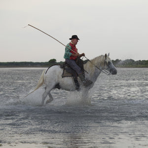 portrais camargue - vagabondphotos.ch