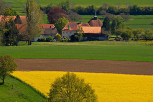 typique suisse - vagabondphotos.ch