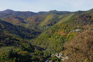 vallée - vagabondphotos.ch